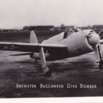 Brewster Bermuda